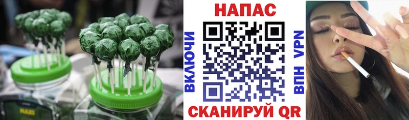 купить   Железноводск  Canna-Cookies конопля 