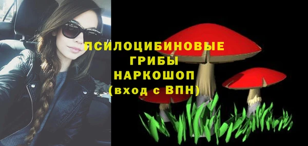 МДПВ Алексин