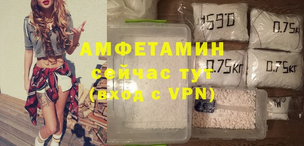 индика Абинск