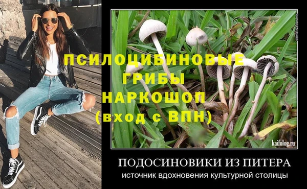 МДПВ Алексин