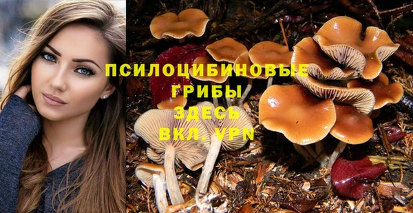 спайс Алексеевка