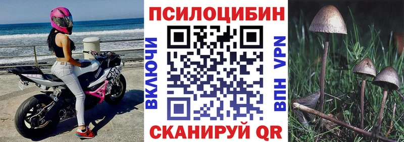 нарко площадка какой сайт  Железноводск  Галлюциногенные грибы GOLDEN TEACHER 